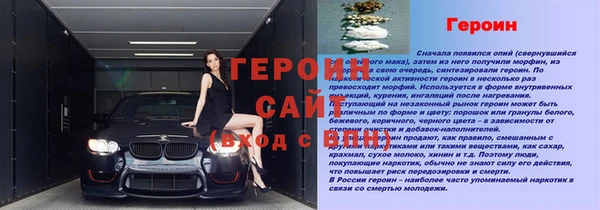 гидра Инсар
