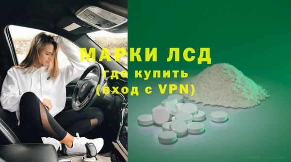гидра Инсар