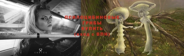 ALPHA-PVP Инта