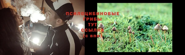 круглые Иннополис