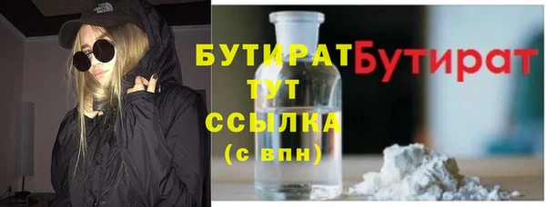 гидра Инсар