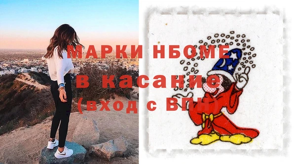 гидра Инсар