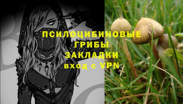 ALPHA-PVP Инта