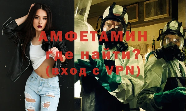 гидра Инсар