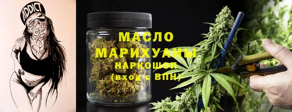 гидра Инсар