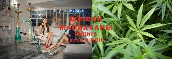 гидра Инсар