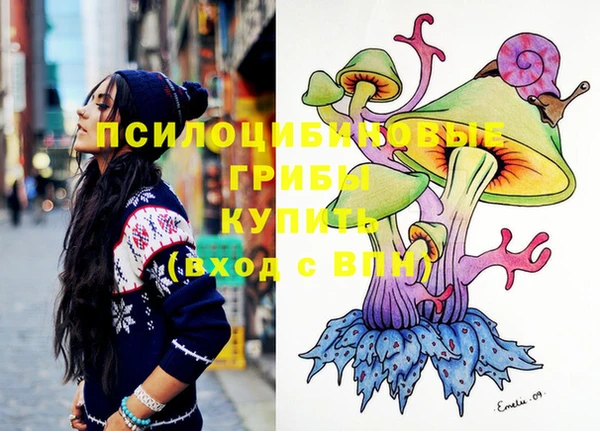 круглые Иннополис