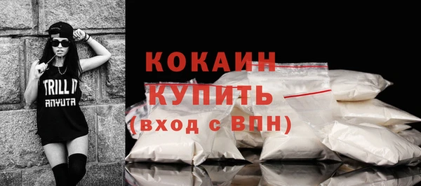 гидра Инсар