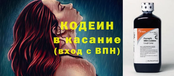 круглые Иннополис